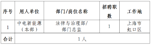 2022年中电国际新能源控股有限公司招聘1人公告