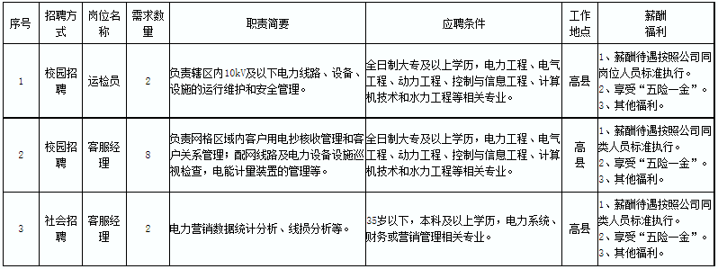 2023年四川能投高县电力有限公司招聘12人公告