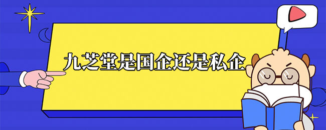 九芝堂是国企还是私企