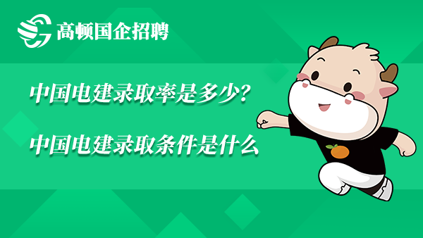 中国电建录取率是多少？中国电建录取条件是什么