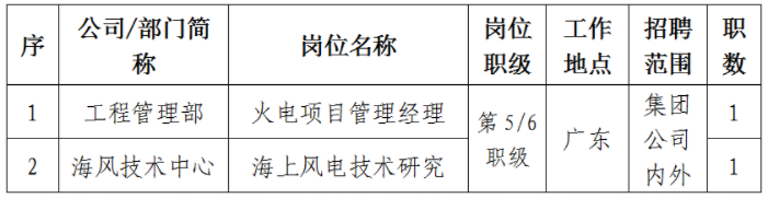 2023国家电投广东公司（海外公司）公开招聘2人公告