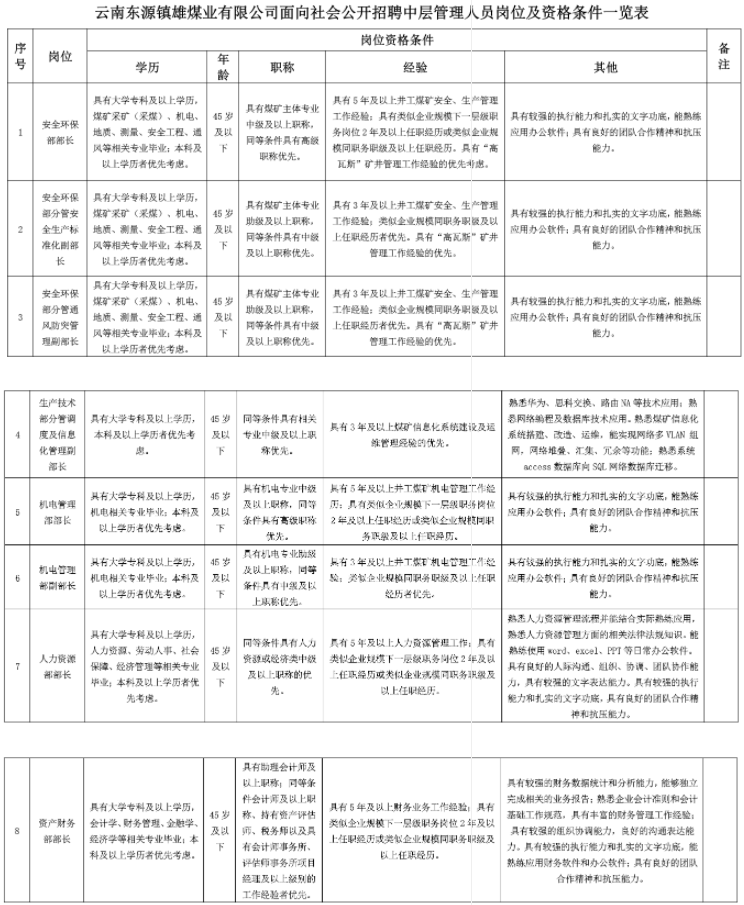 2023云南东源镇雄煤业有限公司面向社会招聘中层管理人员8人公告