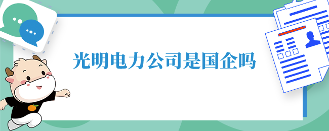 光明电力公司是国企吗