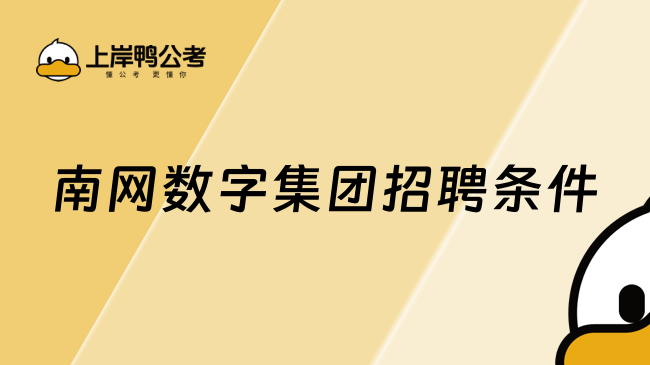 南网数字集团招聘条件