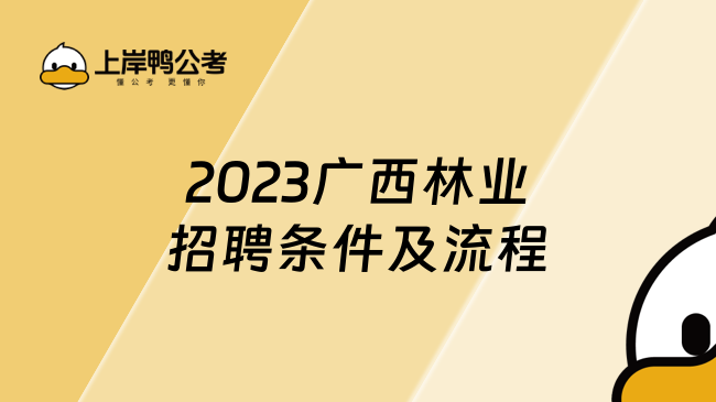 2023广西林业招聘条件及流程