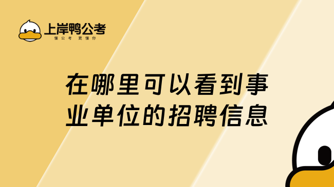 在哪里可以看到事业单位的招聘信息