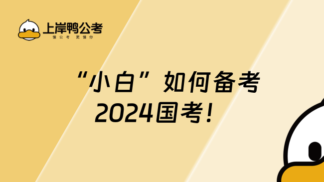 “小白”如何备考2024国考！