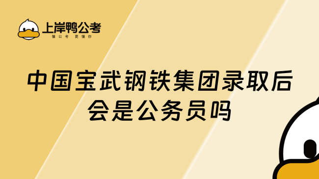 中国宝武钢铁集团录取后会是公务员吗