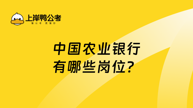 中国农业银行有哪些岗位？