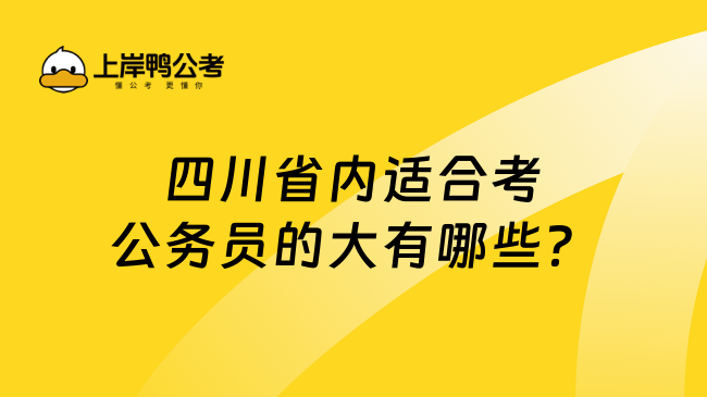 四川省内适合考公务员的大有哪些？