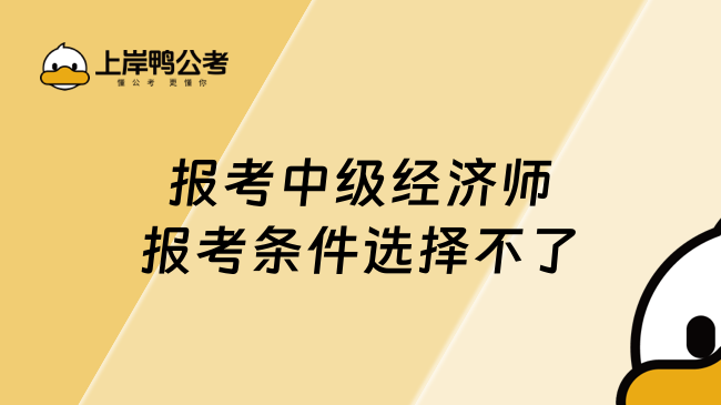 报考中级经济师报考条件选择不了