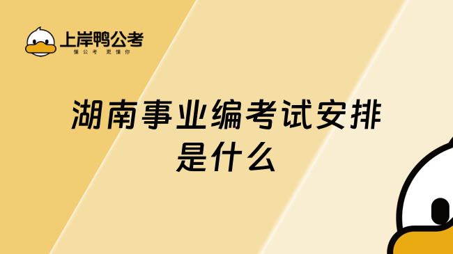 湖南事业编考试安排是什么