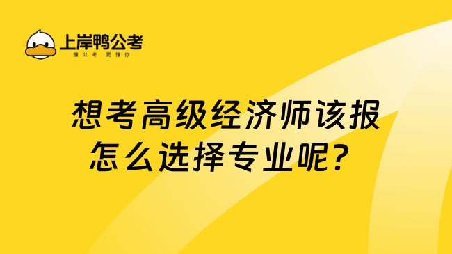 想考高级经济师该报怎么选择专业呢？