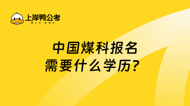 中国煤科报名需要什么学历？