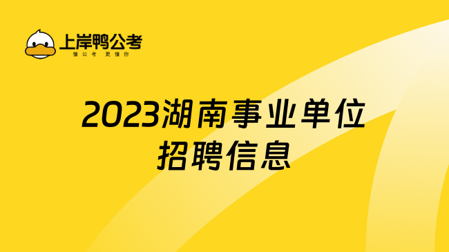 2023湖南事业单位招聘信息