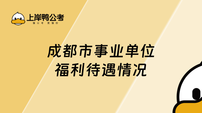 成都市事业单位福利待遇情况