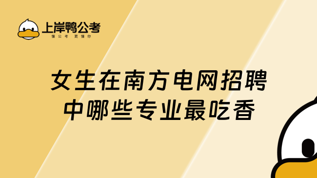 女生在南方电网招聘中哪些专业最吃香