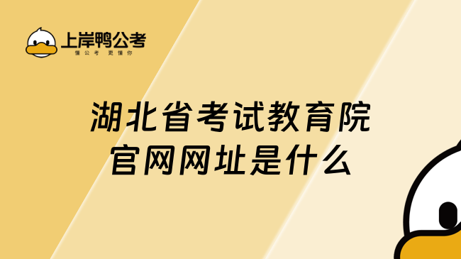 湖北省考试教育院官网网址是什么