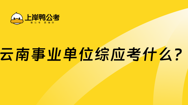 云南事业单位综应考什么？