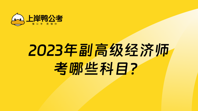 2023年副高级经济师考哪些科目？