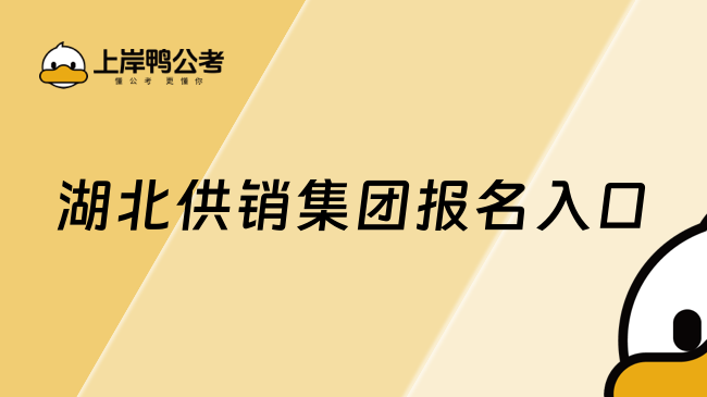 湖北供销集团报名入口