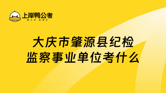 大庆市肇源县纪检监察事业单位考什么