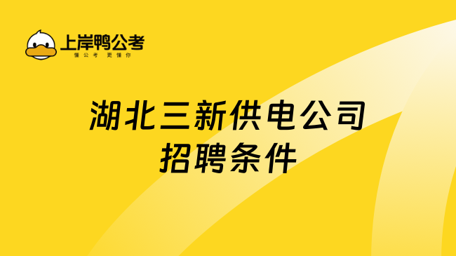 湖北三新供电公司招聘条件