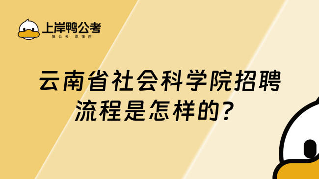 云南省社会科学院招聘流程是怎样的？