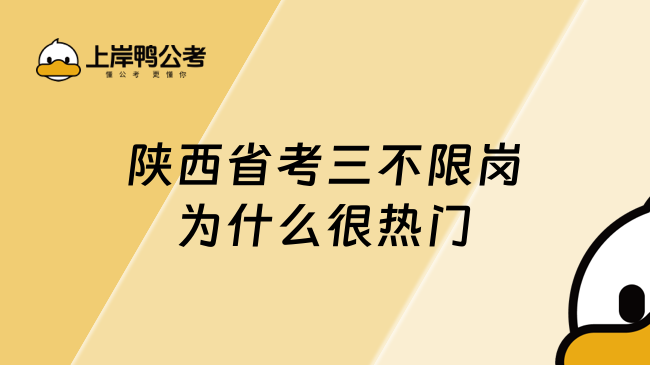 陕西省考三不限岗为什么很热门