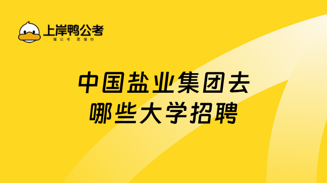 中国盐业集团去哪些大学招聘