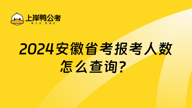 2024安徽省考报考人数怎么查询？