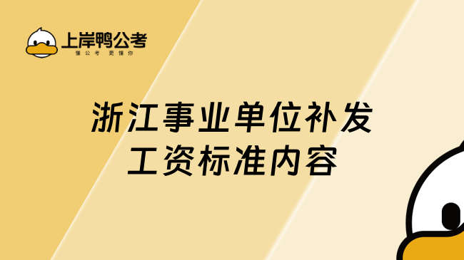 浙江事业单位补发工资标准内容