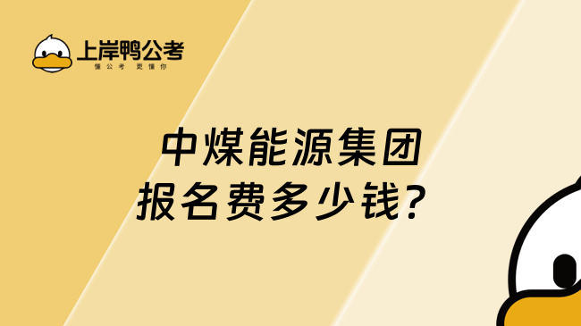 中煤能源集团报名费多少钱？