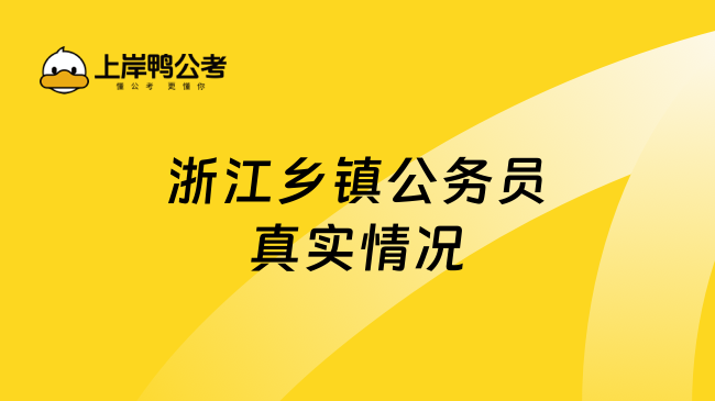 浙江乡镇公务员真实情况