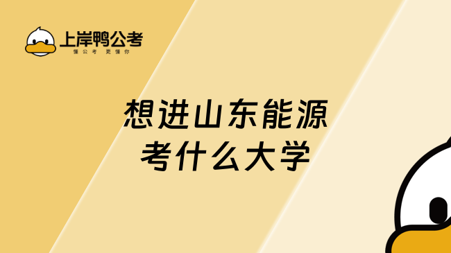 想进山东能源考什么大学