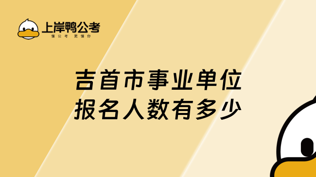 吉首市事业单位报名人数有多少