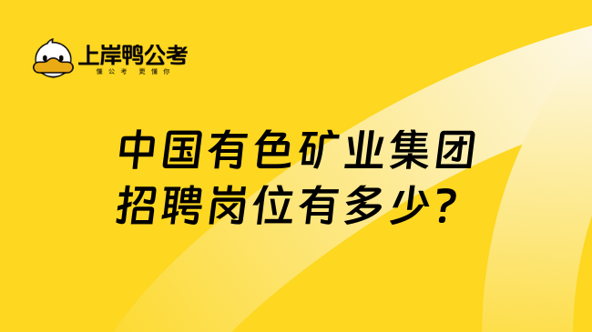 中国有色矿业集团招聘岗位有多少？