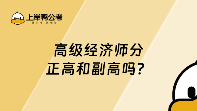 高级经济师分正高和副高吗？