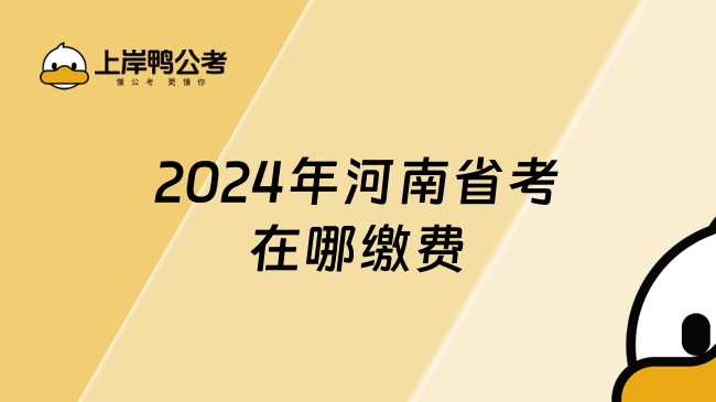 2024年河南省考在哪缴费