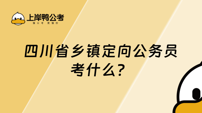 四川省乡镇定向公务员考什么？