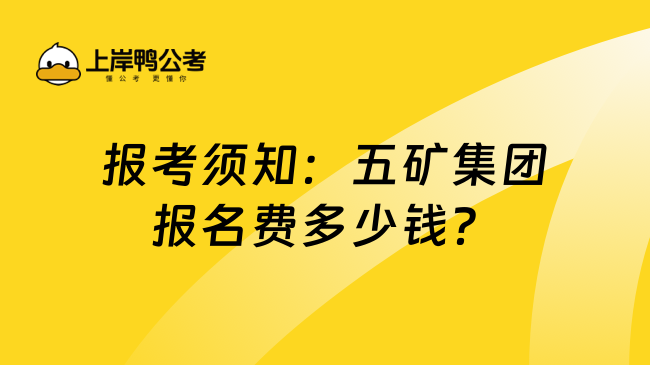 报考须知：五矿集团报名费多少钱？