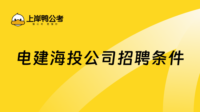 电建海投公司招聘条件