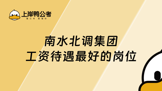 南水北调集团工资待遇最好的岗位