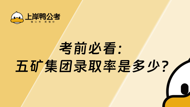 考前必看：五矿集团录取率是多少？