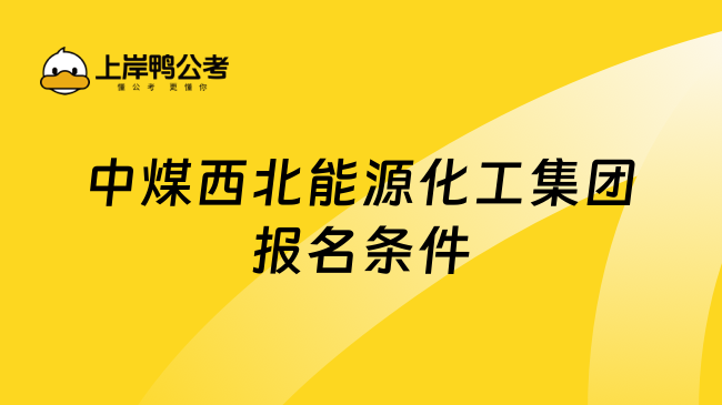 中煤西北能源化工集团报名条件