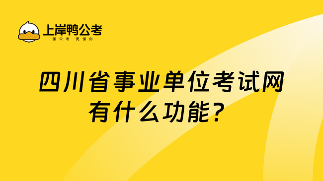 四川省事业单位考试网有什么功能？