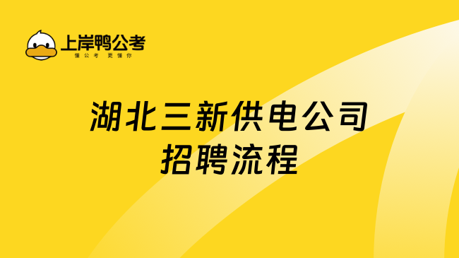 湖北三新供电公司招聘流程