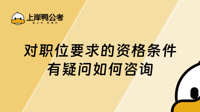 对职位要求的资格条件有疑问如何咨询