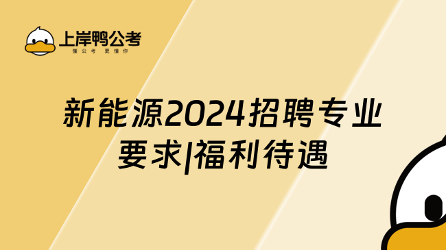 新能源2024招聘专业要求|福利待遇