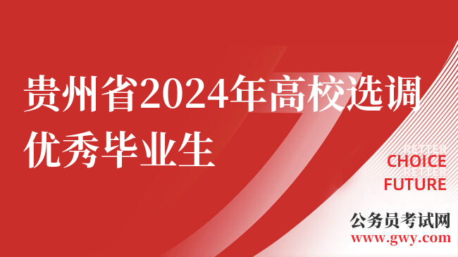 贵州省2024年高校选调优秀毕业生
